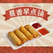 Deep Fried Spring Rolls