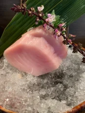 Albacore (2 Pcs)